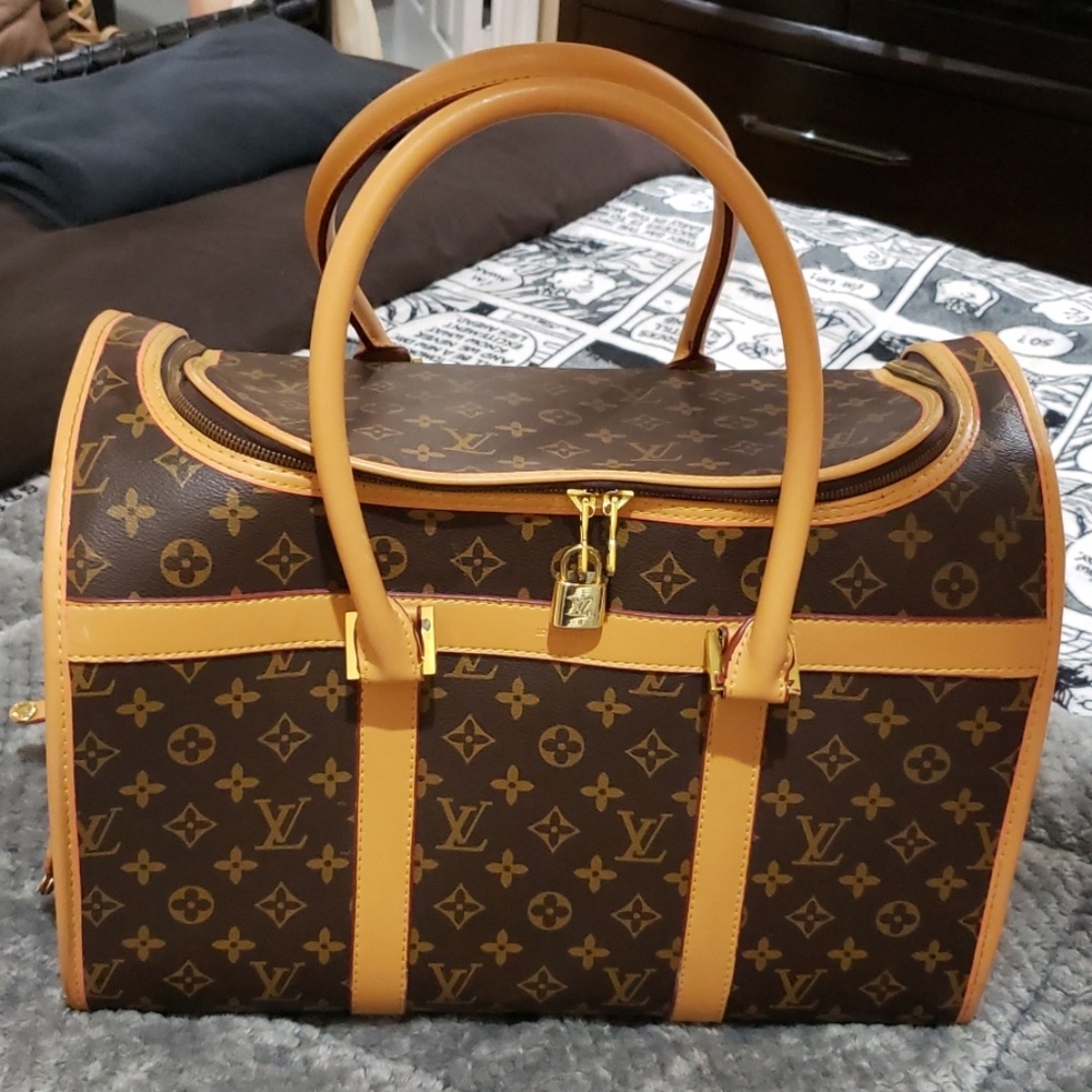 Luis Vuitton dog carrier